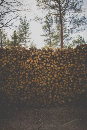 big pile of lumber